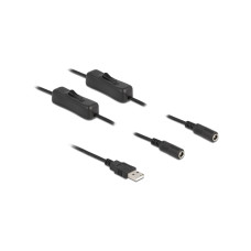 Delock USB-Kabel USB-AStecker zu 2x DC 5.5 x 2.1 mm Mit Schalter Delock USB-Kabel USB-AStecker zu 2x DC 5.5 x 2.1 mm Mit Schalter