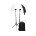 Godox Blitzgerät AD100Pro Doppel-Kit