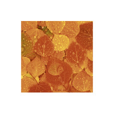 Paper + Design Papierservietten Fruity Florals 33 cm x 33 cm, 20 Stück Paper + Design Papierservietten Fruity Florals 33 cm x 33 cm, 20 Stück