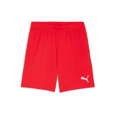 PUMA Shorts teamGOAL L, Rot PUMA Shorts teamGOAL L, Rot