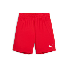 PUMA Shorts teamGOAL Jr 116, Rot PUMA Shorts teamGOAL Jr 116, Rot