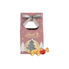 Lindt Weihnachtspralinen Süsse Adventszeit Kleine Box Edition 68 g