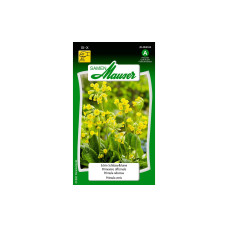 Samen Mauser Saatgut Echte Schlüsselblume