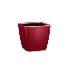 Lechuza Pflanzentopf Quadro Premium 21 LS Rot Lechuza Pflanzentopf Quadro Premium 21 LS Rot