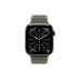 Apple Magnetic Link 42 mm Sage Gray M/L