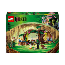 LEGO® Elphabas Versteck 75687 LEGO® Elphabas Versteck 75687