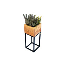 Innovesta Blumenkasten mit Untergestell 20 x 20x 50 cm Innovesta Blumenkasten mit Untergestell 20 x 20x 50 cm