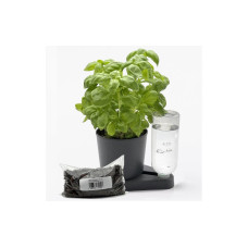 Greevi Bio Kräuterheld & Pflanzgranulat Bundle Anthrazit