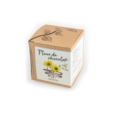 Naturkraftwerk Anzuchtset Fleur de chocolat, mit Schokoladenblume Naturkraftwerk Anzuchtset Fleur de chocolat, mit Schokoladenblume