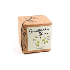Naturkraftwerk Anzuchtset Gummibärchenblume Naturkraftwerk Anzuchtset Gummibärchenblume