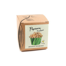 Naturkraftwerk Anzuchtset Popcorn-to-Plant mit Popcorn Mais Naturkraftwerk Anzuchtset Popcorn-to-Plant mit Popcorn Mais