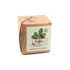 Naturkraftwerk Anzuchtset Coffee-to-grow mit Kaffeesaatgut Naturkraftwerk Anzuchtset Coffee-to-grow mit Kaffeesaatgut