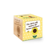 Feel Green Green Celebrations Sonnenblume BIO Feel Green Green Celebrations Sonnenblume BIO