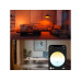 Philips Hue Leuchtmittel White & Col. Amb. E27 Doppelpack 2 x 810 lm