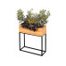 Innovesta Blumenkasten mit Untergestell 60 x 20xH70 cm