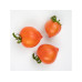 Naturkraftwerk Anzuchtset Herztomate mit Saatgut Naturkraftwerk Anzuchtset Herztomate mit Saatgut