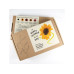 Naturkraftwerk Anzucht My Happy Flowers, 5 Sorten Sonnenblumen