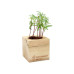 Feel Green Ecocube Schokoladenblume