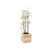 Feel Green Ecocube Schokoladenblume