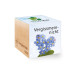 Feel Green Ecocube Vergissmeinnicht