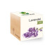 Feel Green Ecocube Lavendel BIO Feel Green Ecocube Lavendel BIO