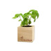 Feel Green Ecocube Basilikum BIO Feel Green Ecocube Basilikum BIO