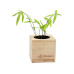 Feel Green Ecocube Riesenbambus Feel Green Ecocube Riesenbambus