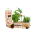 Feel Green EcoGarden – Italienische Küche BIO