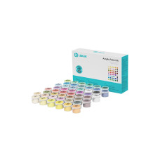 LOKLIK Acrylfarbe für Loklik und Paint 48er Set