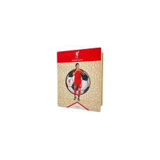 Iconic Puzzle Puzzle Liverpool FC – Darwin Nuñez Iconic Puzzle Puzzle Liverpool FC – Darwin Nuñez