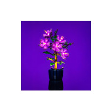 Light My Bricks LED-Licht-Set für LEGO® 10372 Hibiskus Light My Bricks LED-Licht-Set für LEGO® 10372 Hibiskus