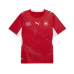 PUMA Jersey SFV Home Replica Rot, M PUMA Jersey SFV Home Replica Rot, M