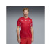 PUMA Jersey SFV Home Replica Rot, M PUMA Jersey SFV Home Replica Rot, M