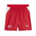 PUMA Shorts SFV Replica Rot, S PUMA Shorts SFV Replica Rot, S