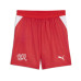 PUMA Shorts SFV Replica Jr Rot, 176