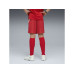 PUMA Shorts SFV Replica Jr Rot, 128