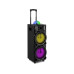 Fenton Lautsprecher LIVE290 Fenton Lautsprecher LIVE290
