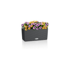 Lechuza BALCONERA Cottage 40 Granit