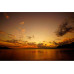 Tokina Zoomobjektiv atx-m 11-18 mm F/2.8 – Sony E-Mount