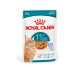 Royal Canin Nassfutter Ageing 11+ Gelee 12 x 85 g
