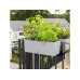 Lechuza BALCONERA Stone 40 Beige Lechuza BALCONERA Stone 40 Beige