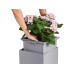 Lechuza CANTO Stone 30 high Grau