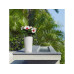 Lechuza CILINDRO Cottage 23 Schwarz Lechuza CILINDRO Cottage 23 Schwarz