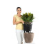 Lechuza CLASSICO Premium LS 43 Anthrazit Lechuza CLASSICO Premium LS 43 Anthrazit