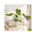Lechuza CLASSICO Color 12 Weiss