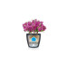 Lechuza CLASSICO Color 60 Schiefergrau