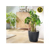 Lechuza CLASSICO Eco 43 Grau Lechuza CLASSICO Eco 43 Grau