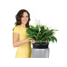 Lechuza RONDO Premium 32 Anthrazit/Metall