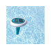 Bestway Thermometer Bestway Thermometer
