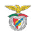 Iconic Puzzle Puzzle SL Benfica – Logo